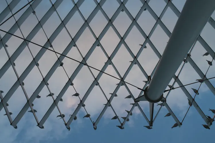 Perchoir Géant (24 x 30 cm, 24 x 30 cm)