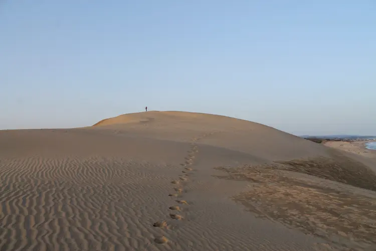 Chemin vers l'Éternité (24 x 30 cm, 24 x 30 cm)