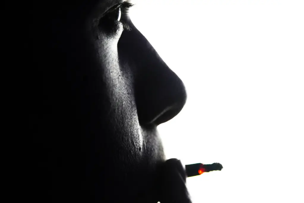 Silhouette Incandescente  (24 x 30 cm, 24 x 30 cm)