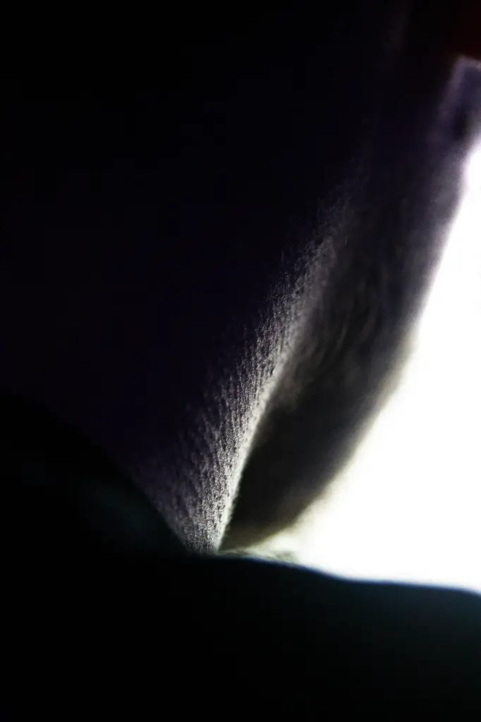 Grain Éclairé (24 x 30 cm, 24 x 30 cm)