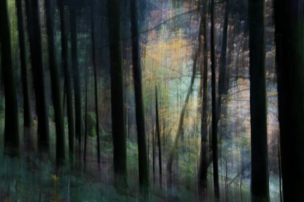 Impressionnisme Sylvestre  (24 x 30 cm, 24 x 30 cm)