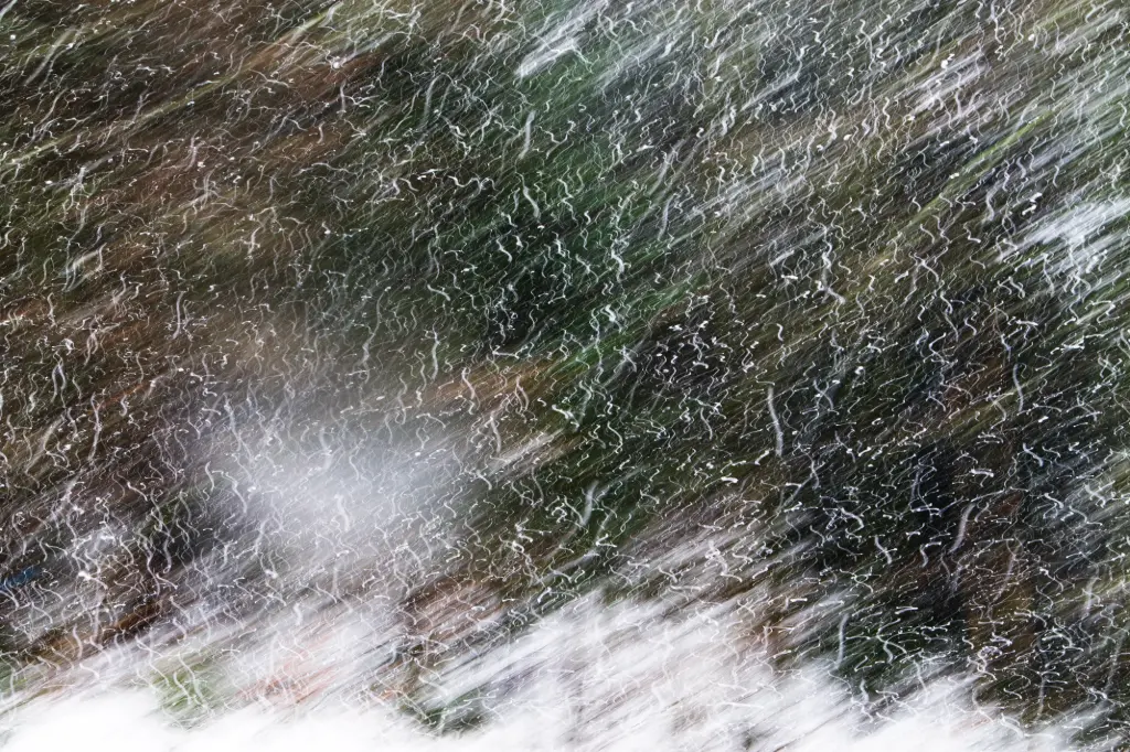 Murmures Givré (24 x 30 cm, 24 x 30 cm)