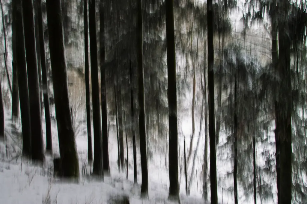 L'Âme du Bois (24 x 30 cm, 24 x 30 cm)