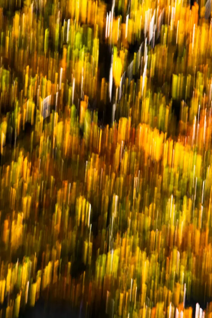 Automne Chromatique (24 x 30 cm, 24 x 30 cm)