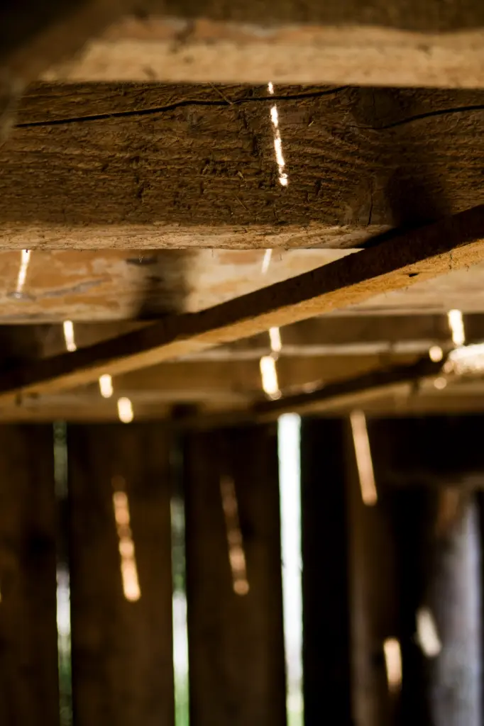 Grenier oublié (24 x 30 cm, 24 x 30 cm)