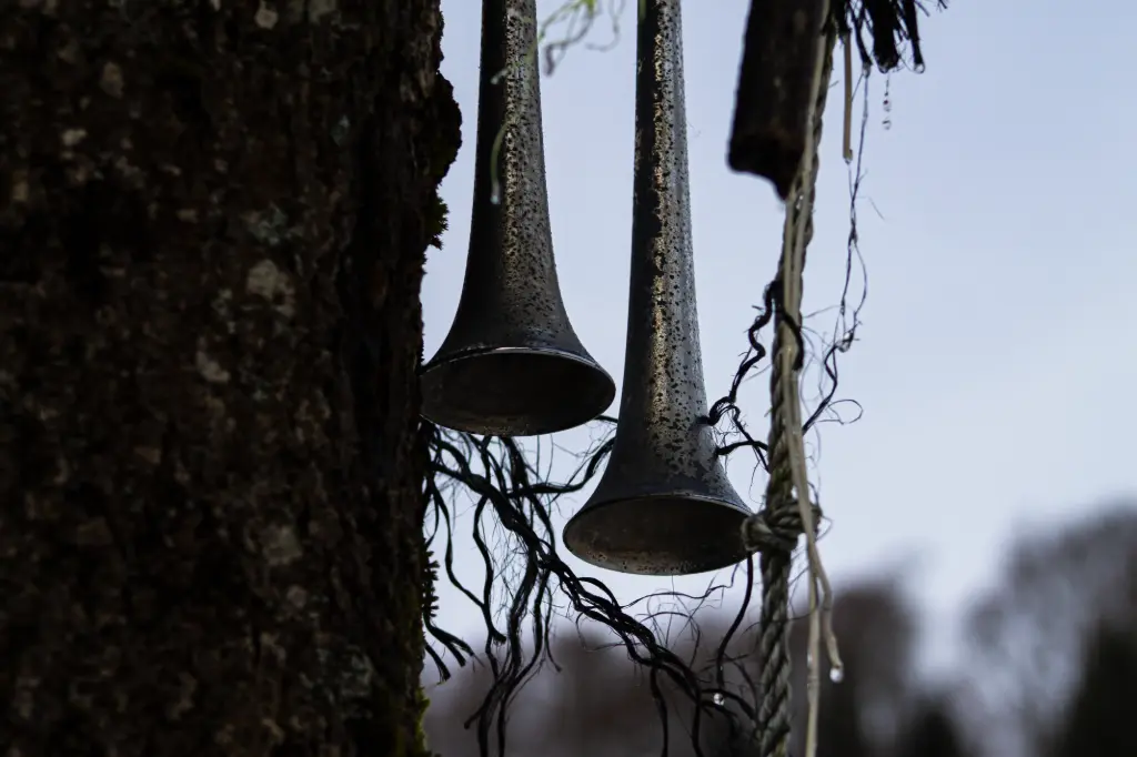 Murmures des anciens  (24 x 30 cm, 24 x 30 cm)