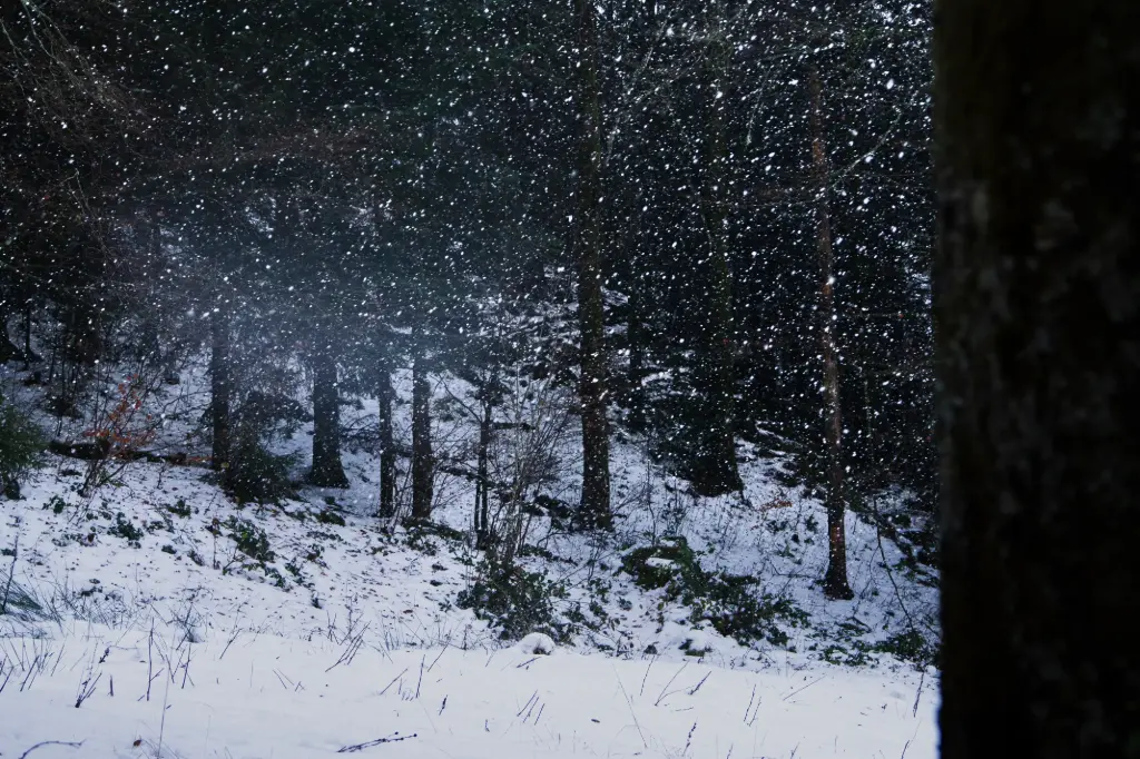 Poussière Glacée (24 x 30 cm, 24 x 30 cm)