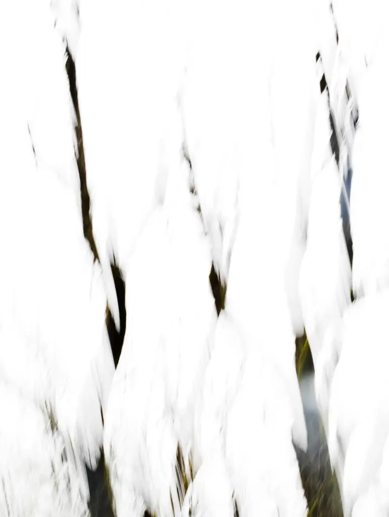 Fragments (24 x 30 cm, 24 x 30 cm)