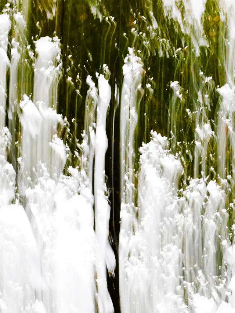 Torrent Végétal (24 x 30 cm, 24 x 30 cm)