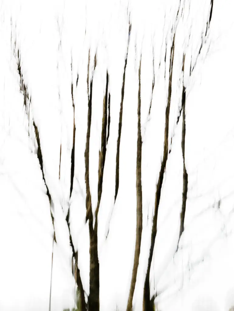 Griffes (24 x 30 cm, 24 x 30 cm)