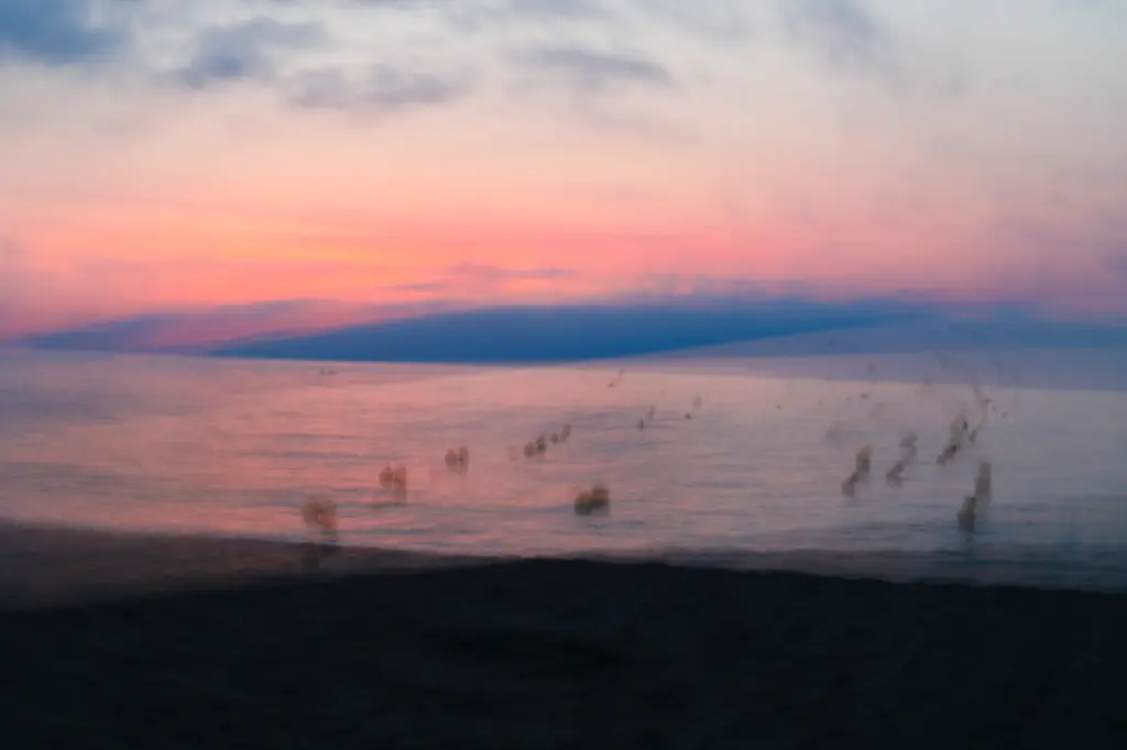 Partition Marine (24 x 30 cm, 24 x 30 cm)