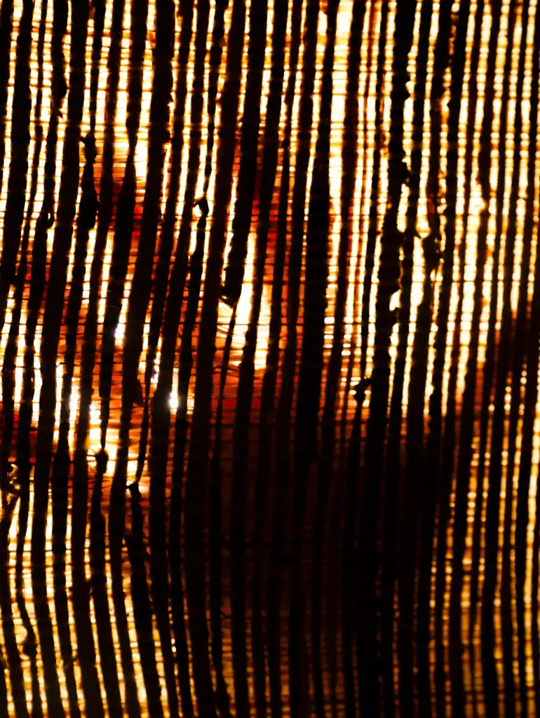 Le Foyer (24 x 30 cm, 24 x 30 cm)