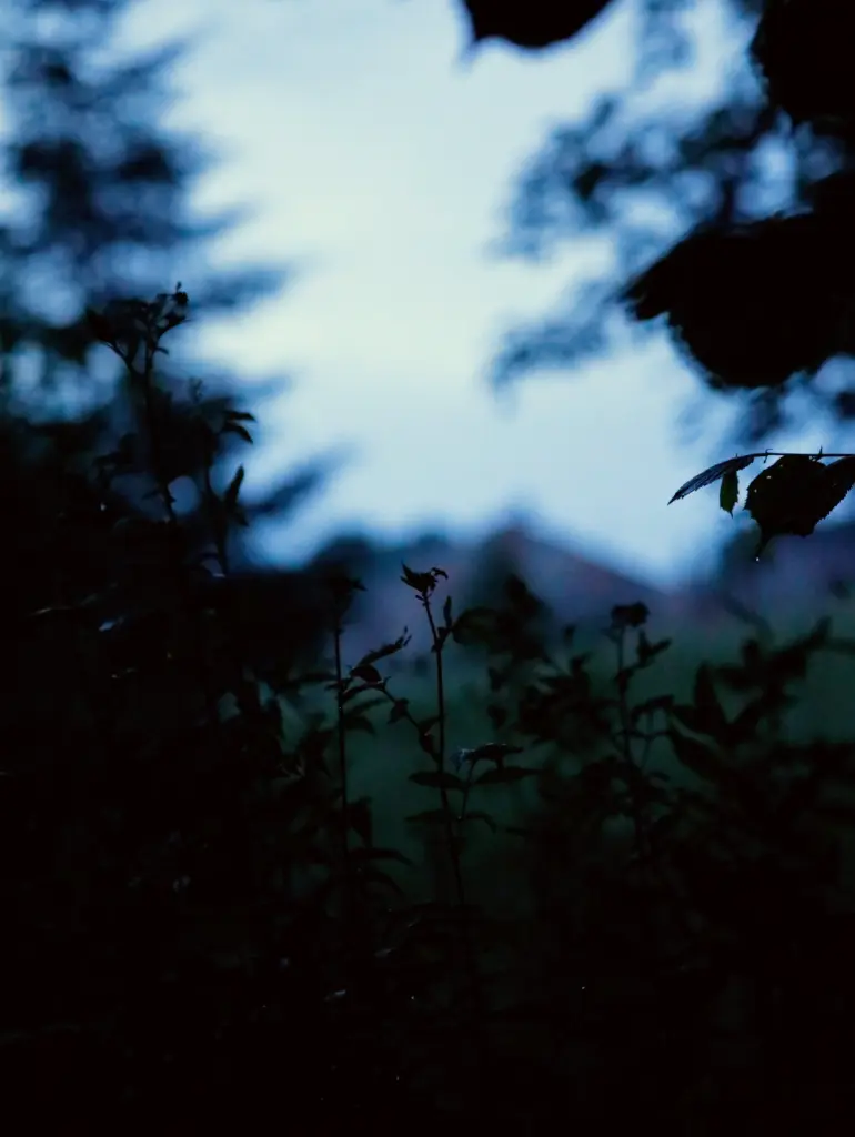 L'Heure Bleue (24 x 30 cm, 24 x 30 cm)