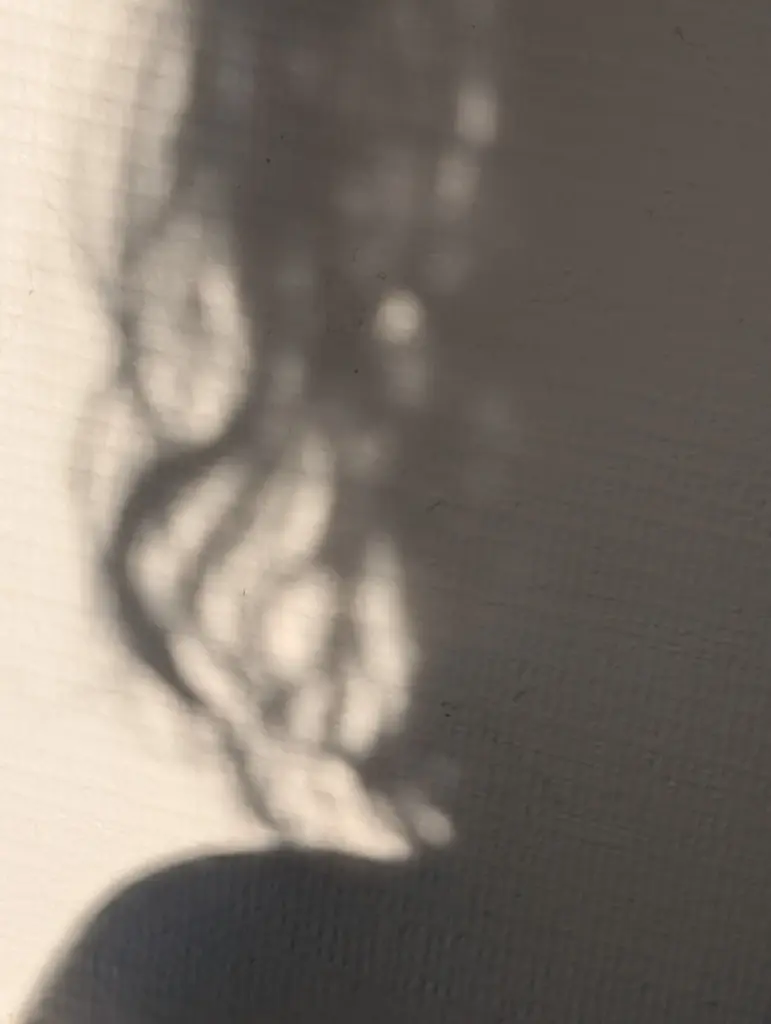 L'Âme perdue (24 x 30 cm, 24 x 30 cm)