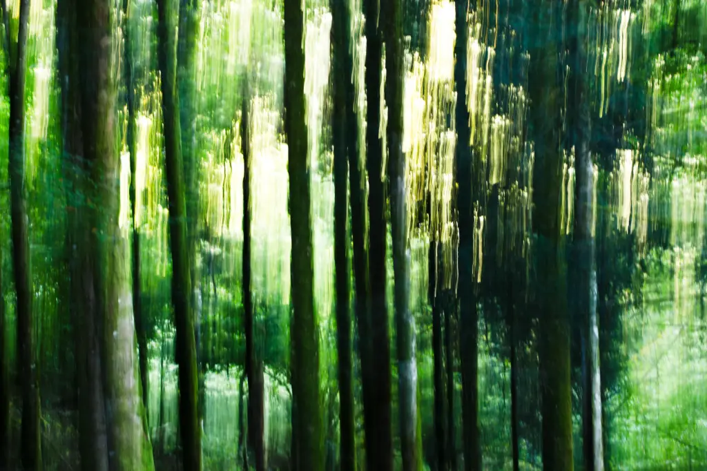 Sillage Vert (24 x 30 cm, 24 x 30 cm)