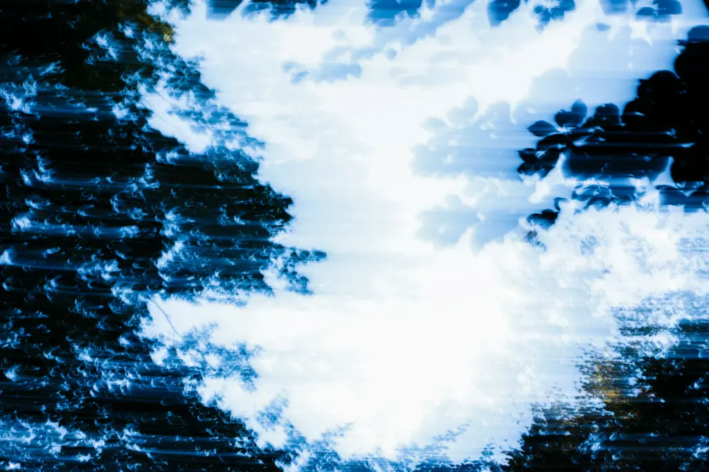 Nébuleuse Végétale (24 x 30 cm, 24 x 30 cm)