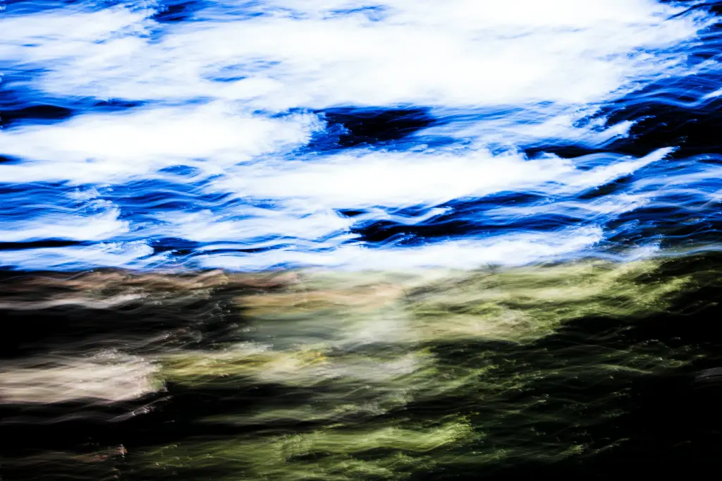 Frémissement (24 x 30 cm, 24 x 30 cm)