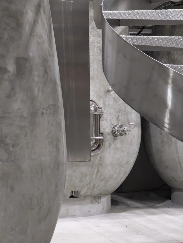 Les lignes du Cru (24 x 30 cm, 24 x 30 cm)