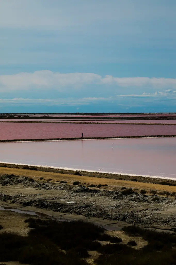 Solitude Salée (24 x 30 cm, 24 x 30 cm)