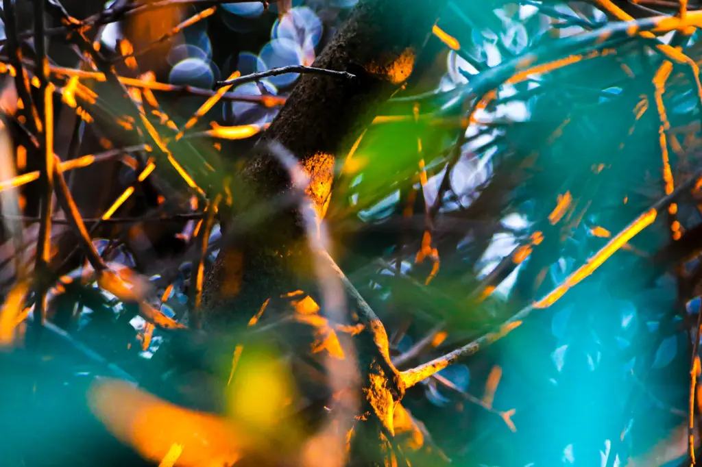 Brasier Vert et Or (24 x 30 cm, 24 x 30 cm)