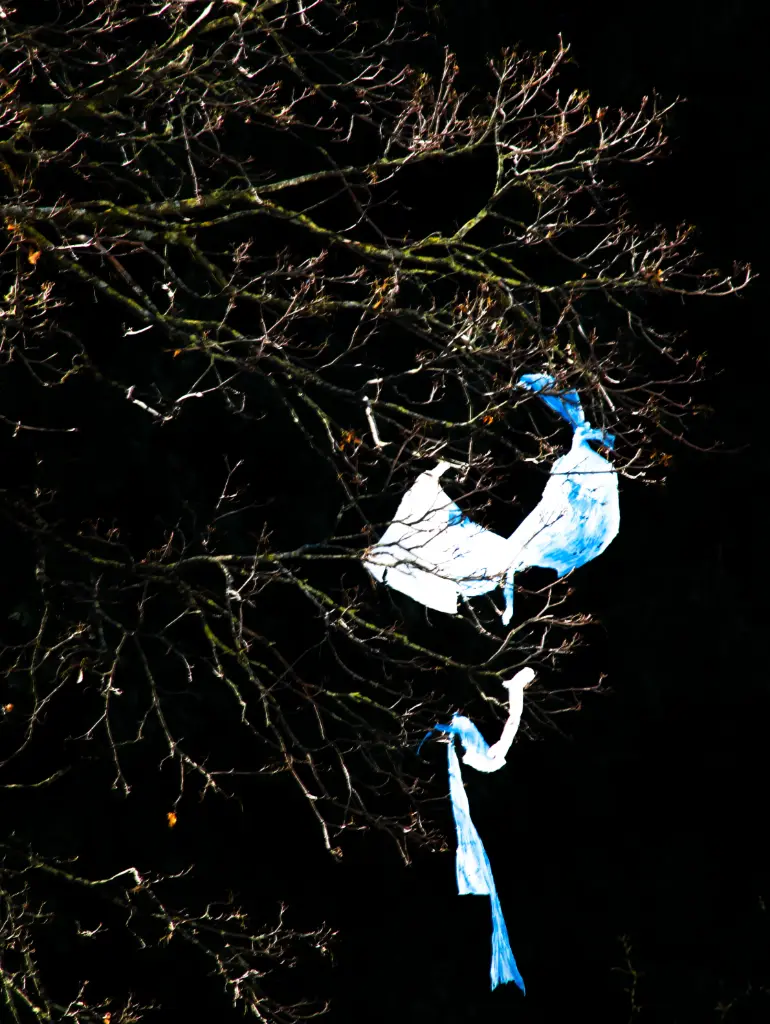 Danse Funèbre (24 x 30 cm, 24 x 30 cm)